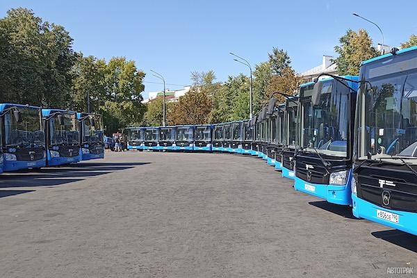 Автобусы в плюсе за счет бюджета