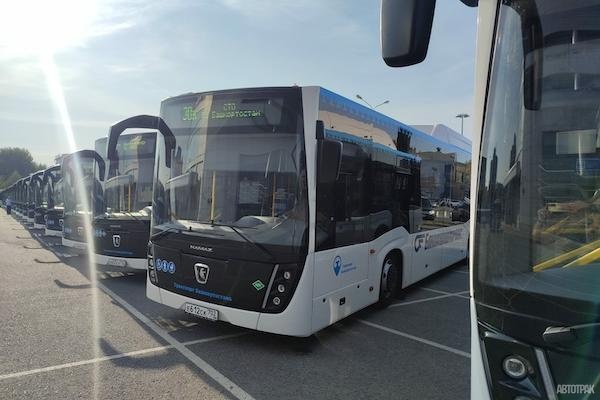 Рынок новых автобусов ушел «в минус»