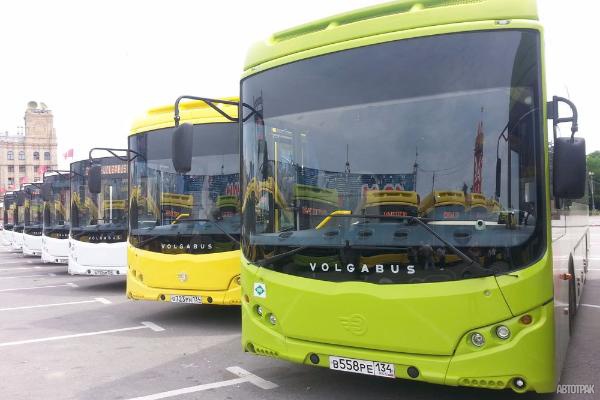Автобусы поставят Киргизии. За наш счет