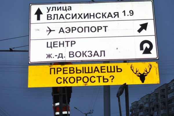 На Алтае установили знаки, призывающие водителей не быть оленями
