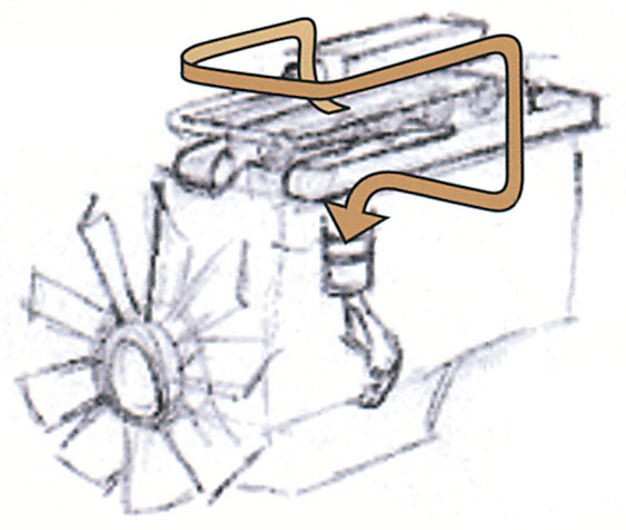 bud01.jpg