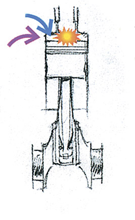 bud03.jpg
