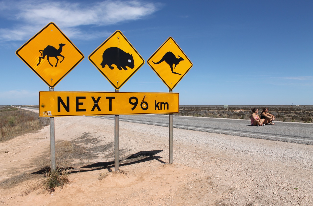 Nullarbor_warning_signs_2012.jpg