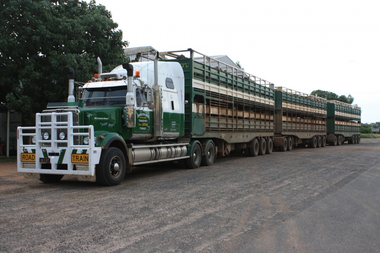 Road_Train_-_Tambo.JPG