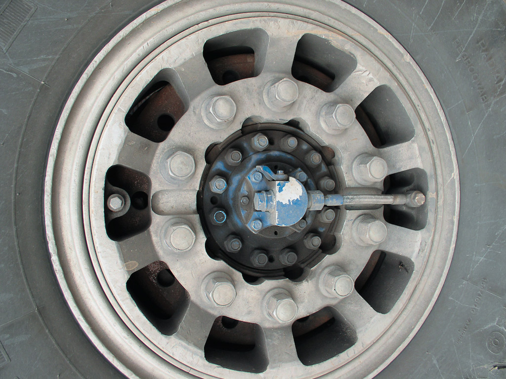 P1010029.jpg