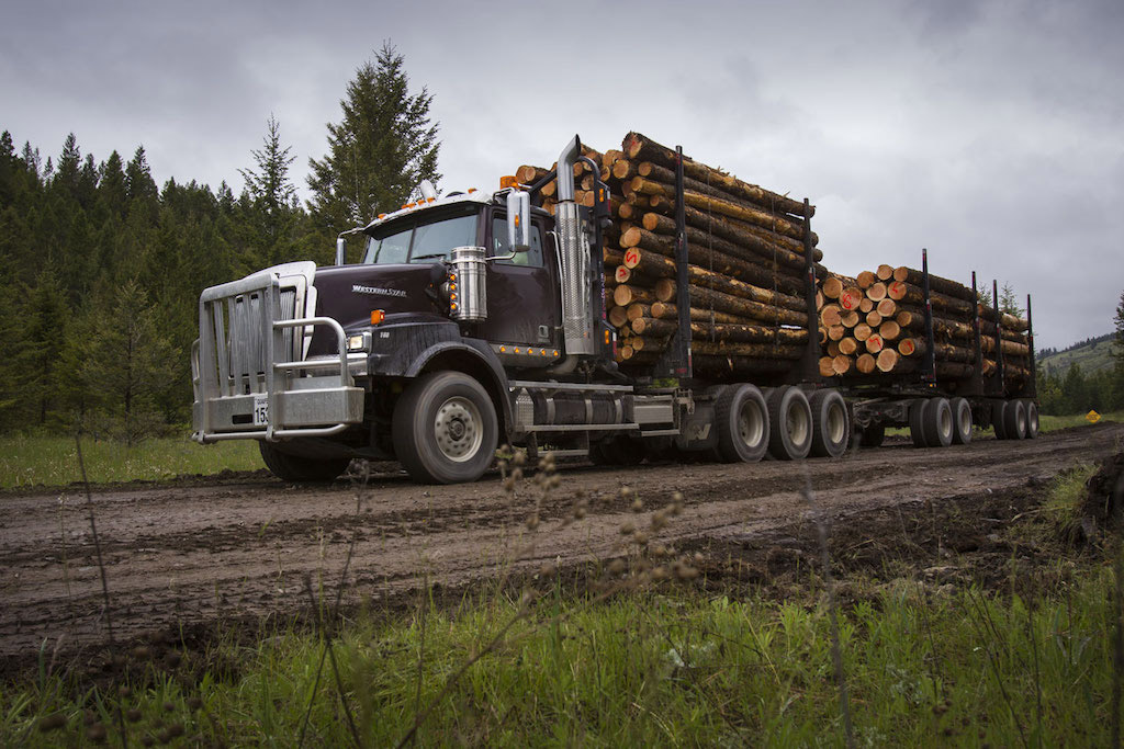 4-4900-как-лесовозы-очень-популярны-на-лесозаготовках-Канады.jpg